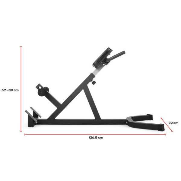 цена Скамья для спины Gymstick Back Bench