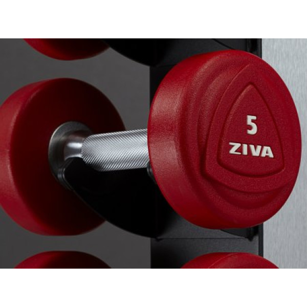 цена Гантели уретановые от 1 до 10 кг с стойкой Ziva